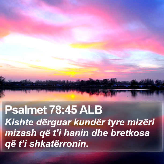 Psalmet 78:45 ALB Bible Study