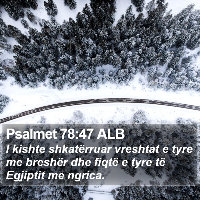 Psalmet 78:47 ALB Bible Study