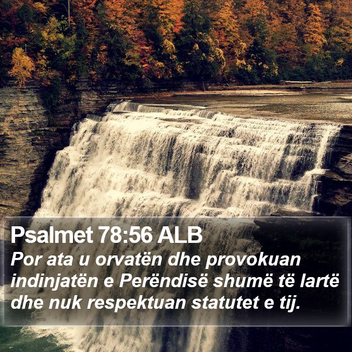 Psalmet 78:56 ALB Bible Study