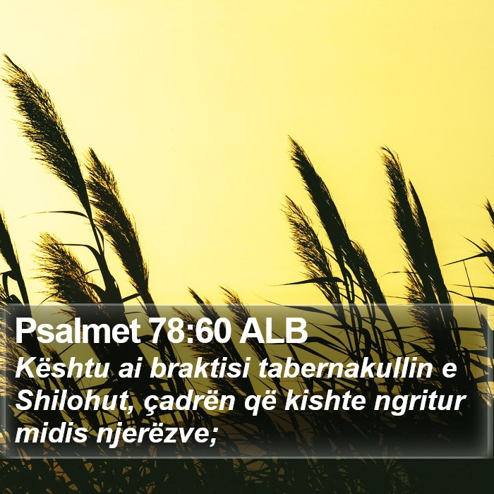 Psalmet 78:60 ALB Bible Study