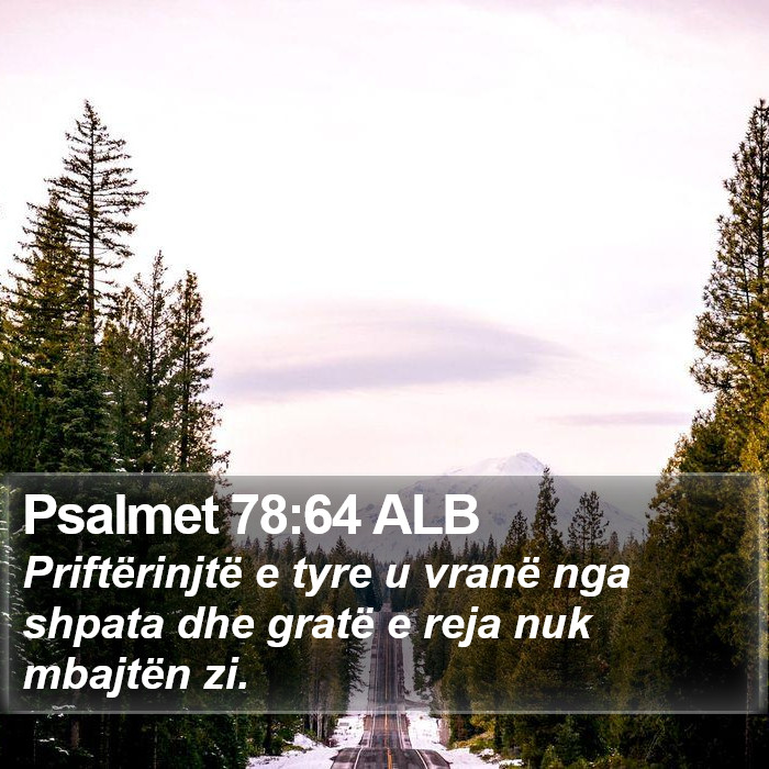 Psalmet 78:64 ALB Bible Study