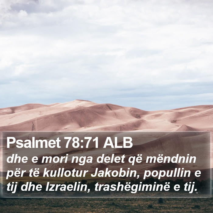 Psalmet 78:71 ALB Bible Study