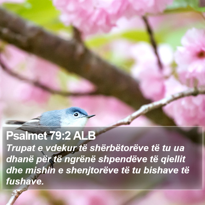 Psalmet 79:2 ALB Bible Study