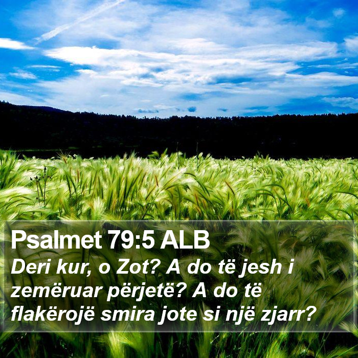 Psalmet 79:5 ALB Bible Study
