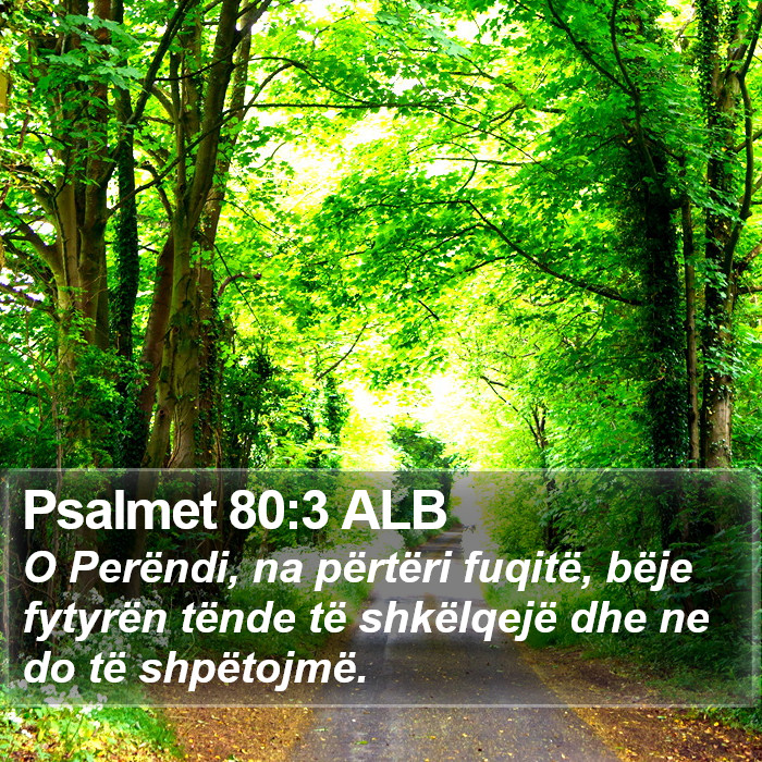 Psalmet 80:3 ALB Bible Study