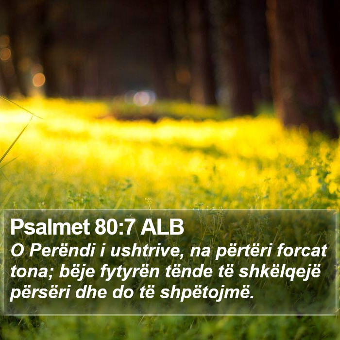 Psalmet 80:7 ALB Bible Study