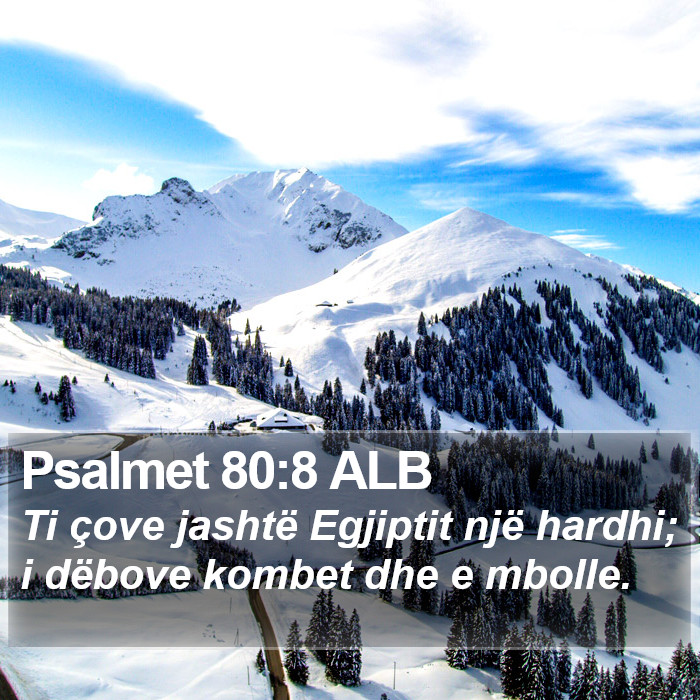 Psalmet 80:8 ALB Bible Study