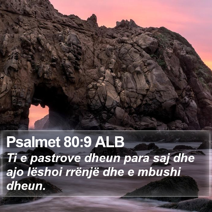 Psalmet 80:9 ALB Bible Study