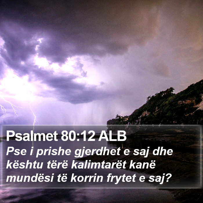 Psalmet 80:12 ALB Bible Study