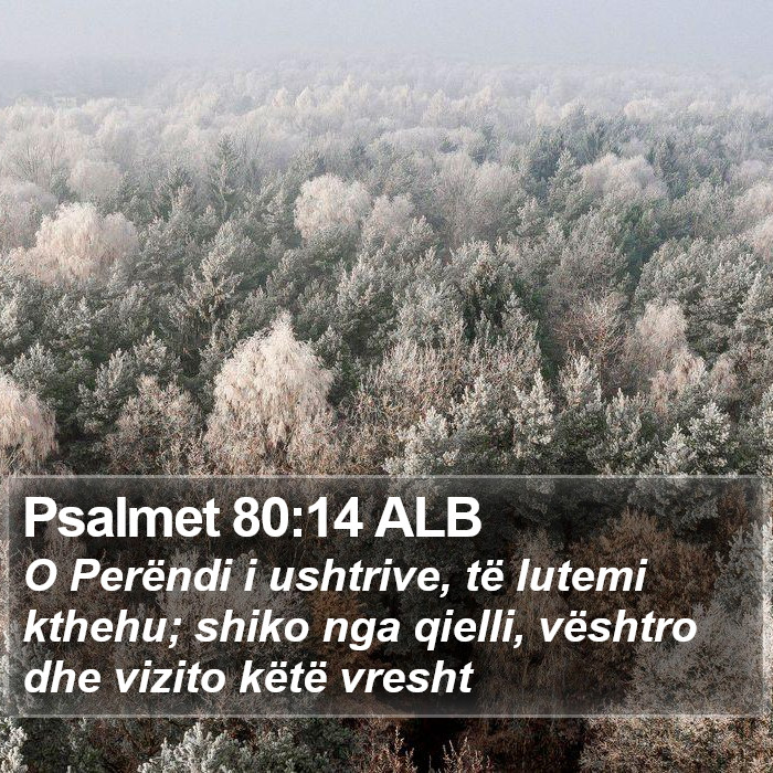 Psalmet 80:14 ALB Bible Study