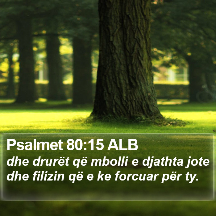 Psalmet 80:15 ALB Bible Study