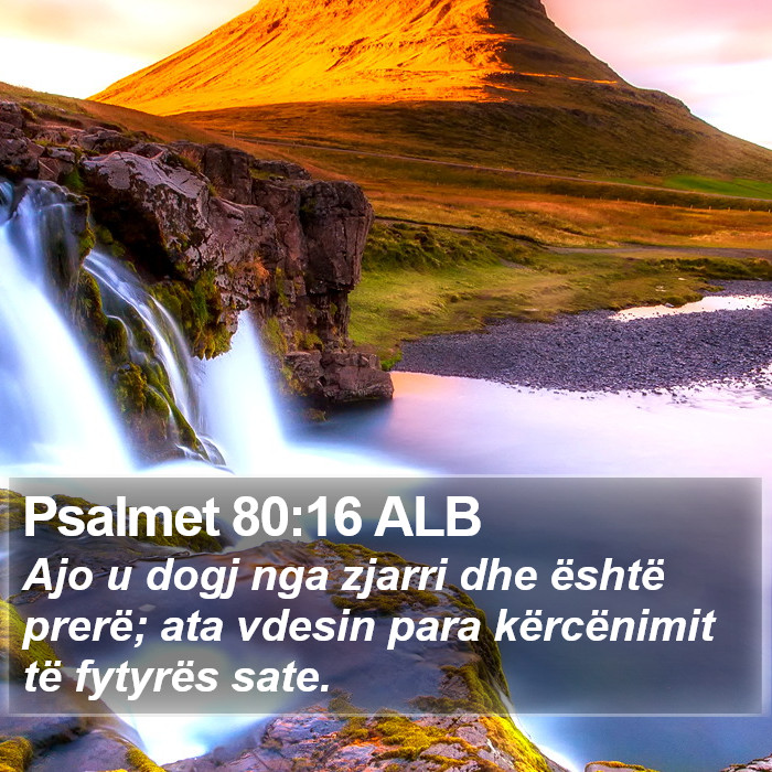 Psalmet 80:16 ALB Bible Study