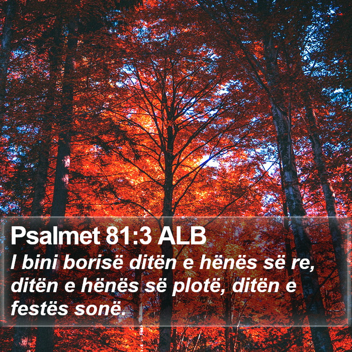 Psalmet 81:3 ALB Bible Study