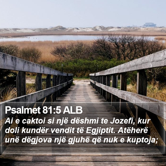 Psalmet 81:5 ALB Bible Study