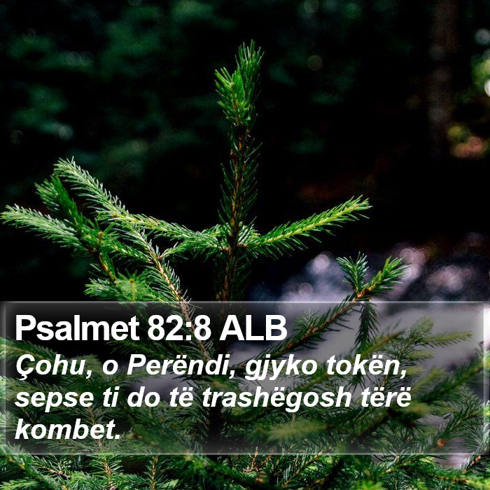 Psalmet 82:8 ALB Bible Study