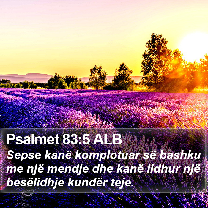 Psalmet 83:5 ALB Bible Study