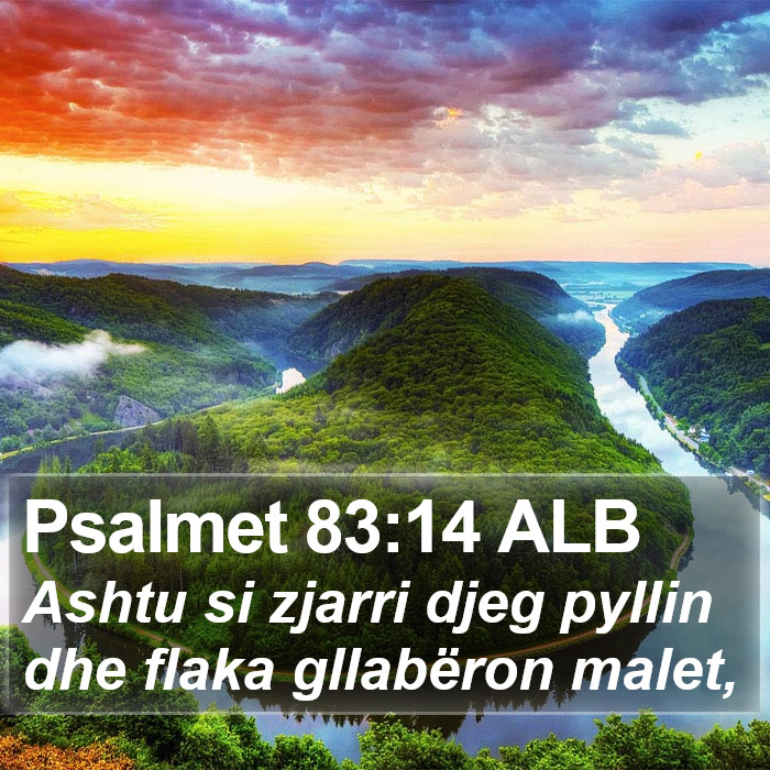 Psalmet 83:14 ALB Bible Study