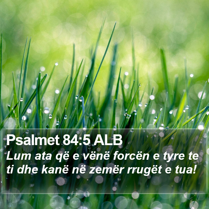 Psalmet 84:5 ALB Bible Study