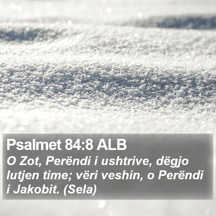 Psalmet 84:8 ALB Bible Study