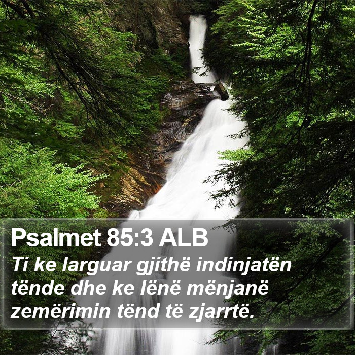 Psalmet 85:3 ALB Bible Study