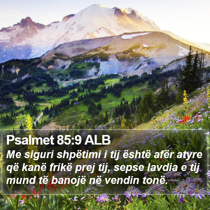 Psalmet 85:9 ALB Bible Study