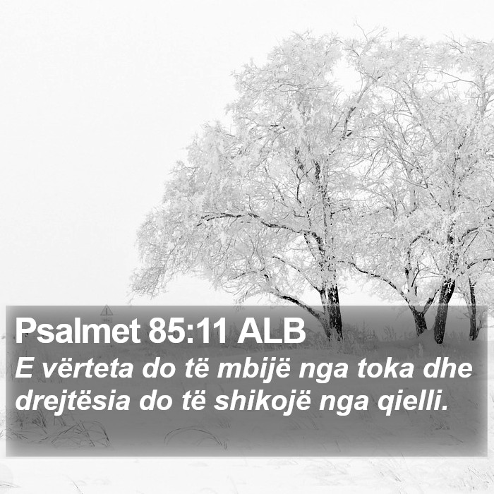 Psalmet 85:11 ALB Bible Study
