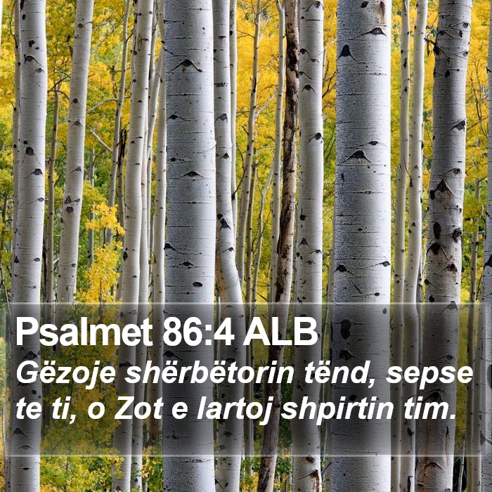 Psalmet 86:4 ALB Bible Study