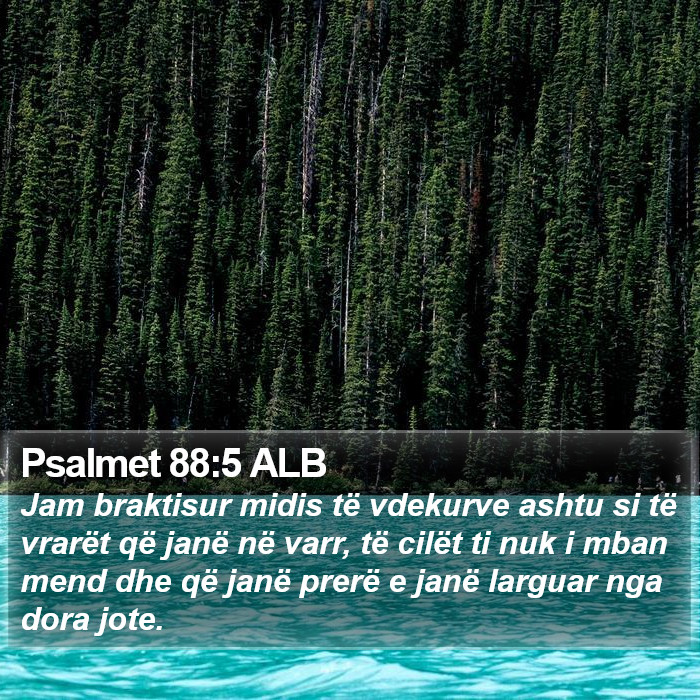 Psalmet 88:5 ALB Bible Study
