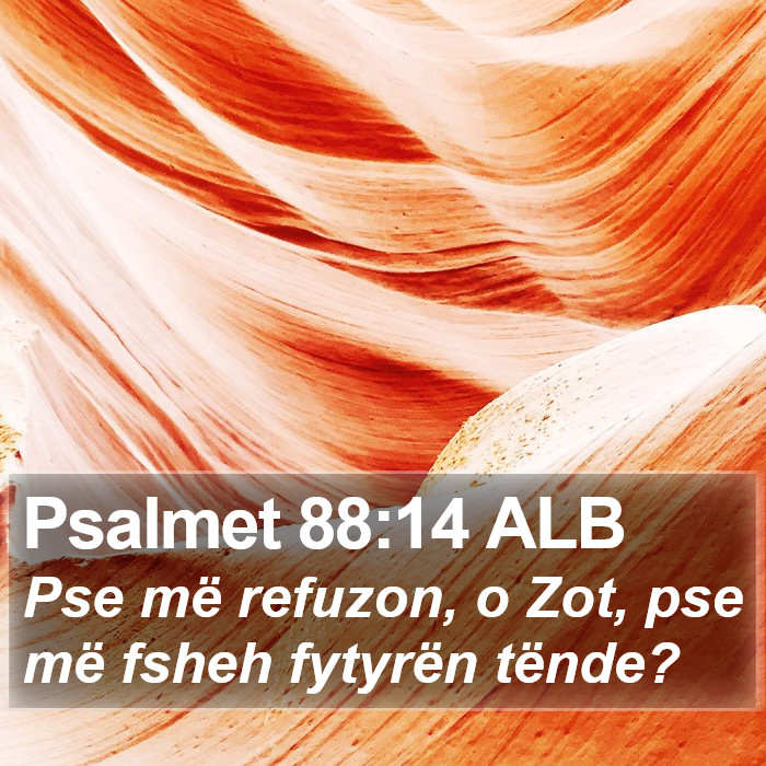 Psalmet 88:14 ALB Bible Study