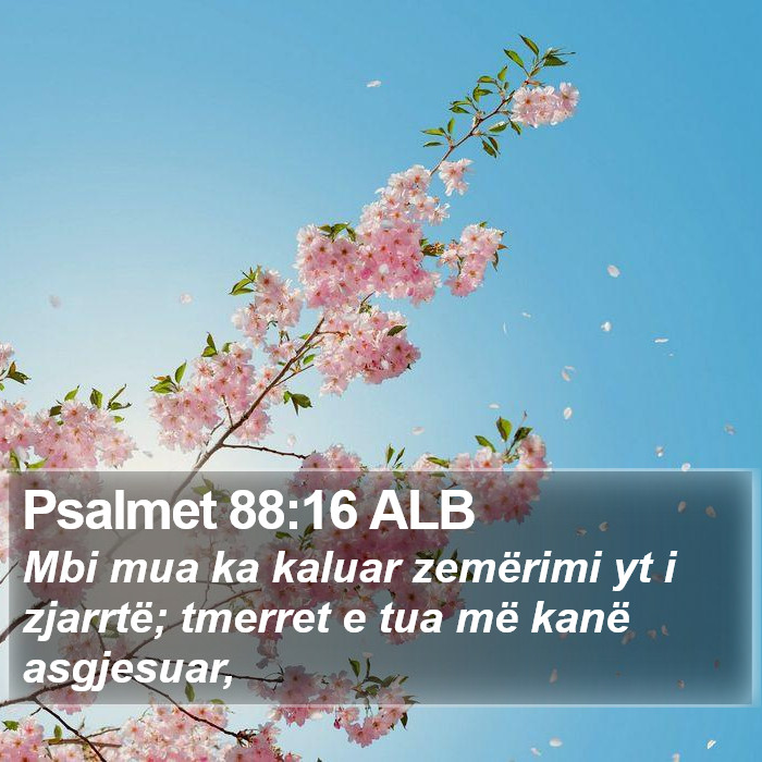 Psalmet 88:16 ALB Bible Study
