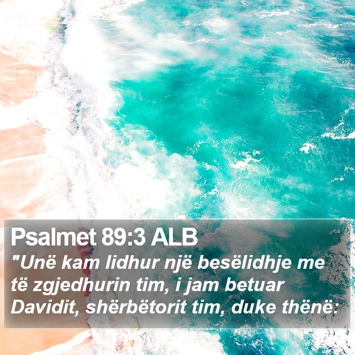 Psalmet 89:3 ALB Bible Study
