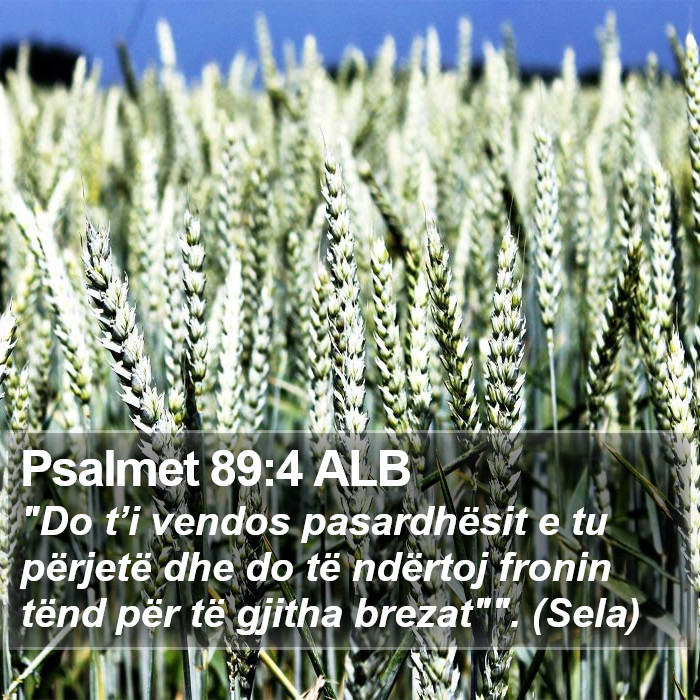 Psalmet 89:4 ALB Bible Study
