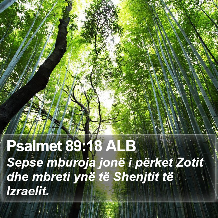 Psalmet 89:18 ALB Bible Study