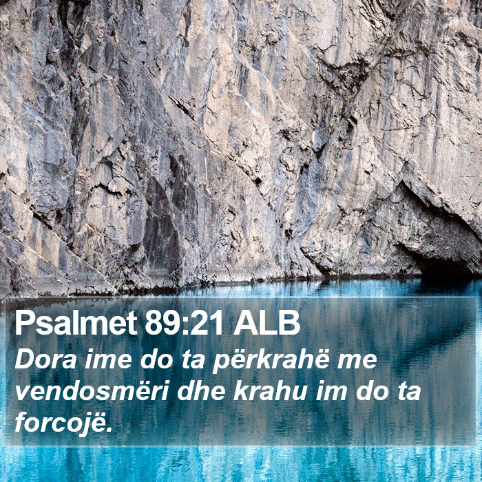 Psalmet 89:21 ALB Bible Study