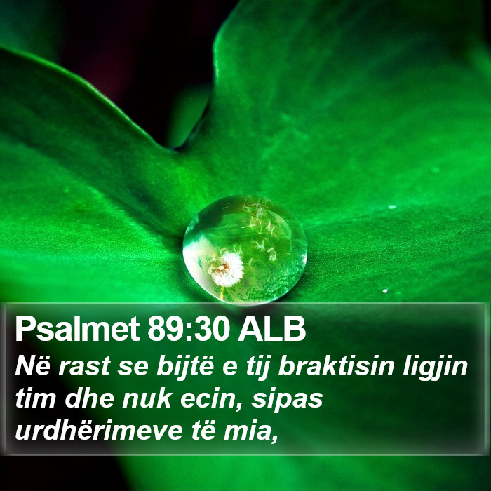 Psalmet 89:30 ALB Bible Study