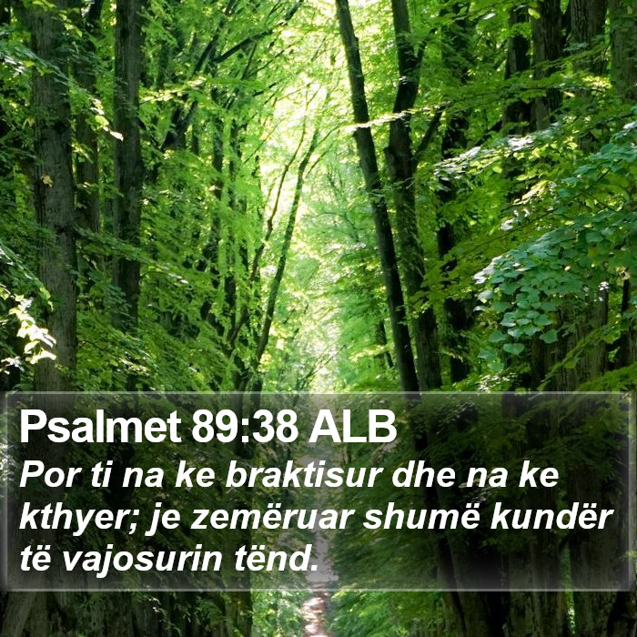 Psalmet 89:38 ALB Bible Study