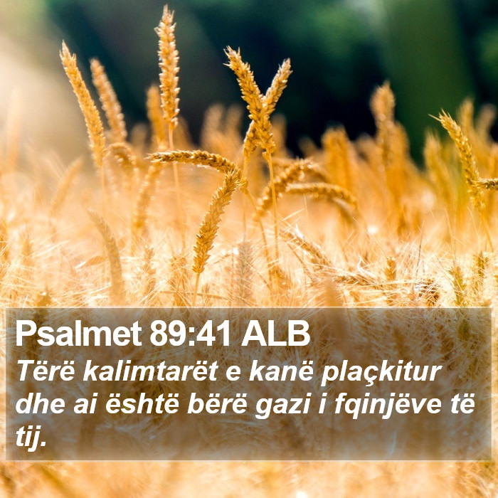 Psalmet 89:41 ALB Bible Study