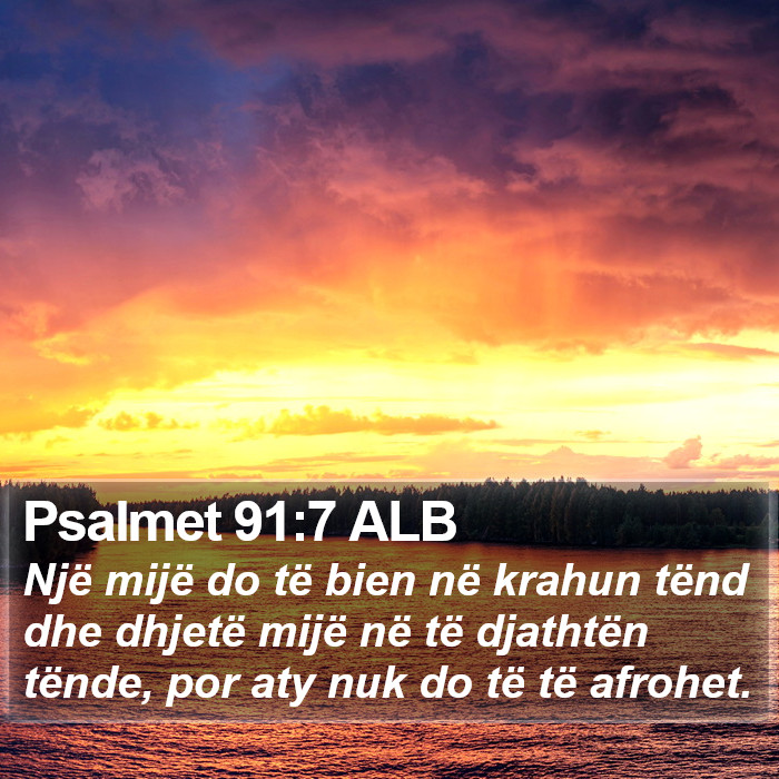 Psalmet 91:7 ALB Bible Study