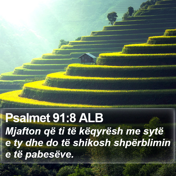 Psalmet 91:8 ALB Bible Study