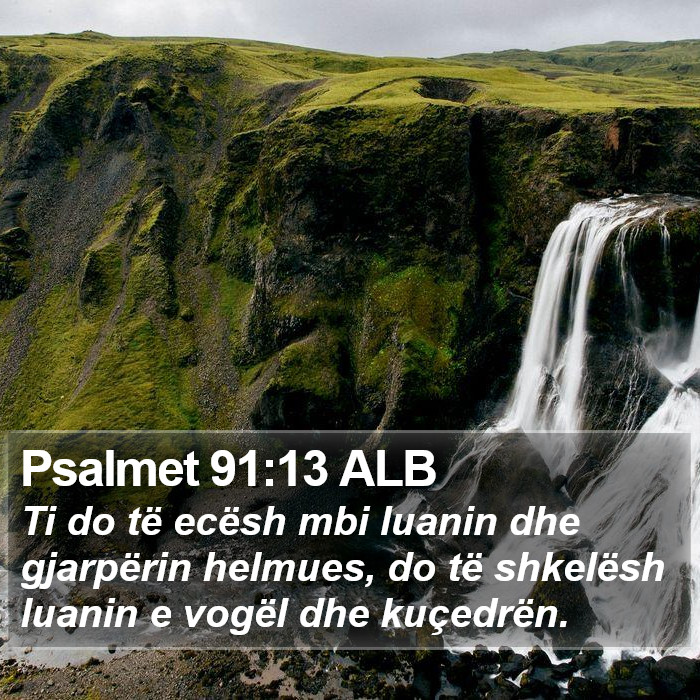 Psalmet 91:13 ALB Bible Study