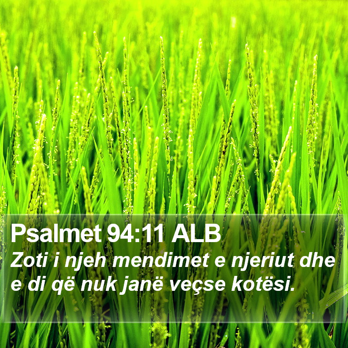 Psalmet 94:11 ALB Bible Study