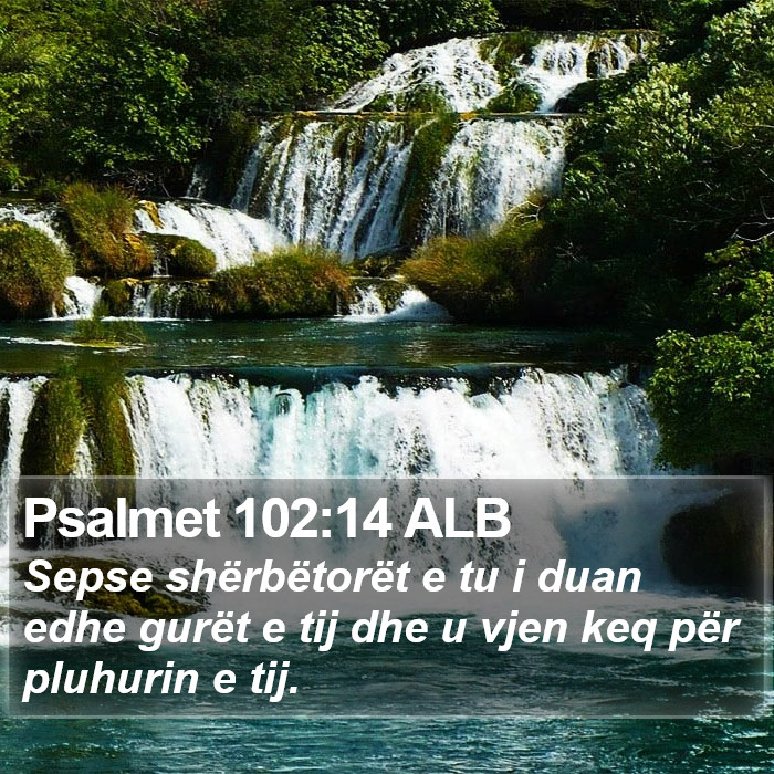 Psalmet 102:14 ALB Bible Study