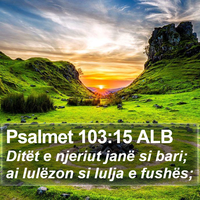 Psalmet 103:15 ALB Bible Study