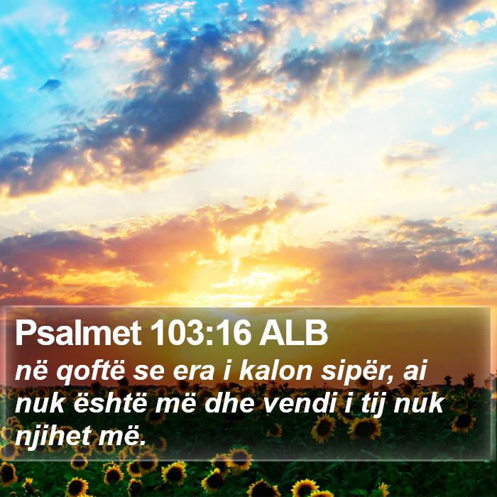 Psalmet 103:16 ALB Bible Study