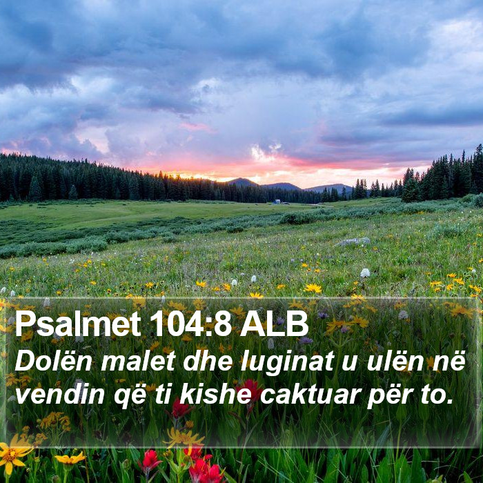 Psalmet 104:8 ALB Bible Study