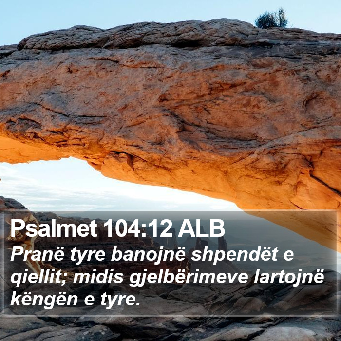 Psalmet 104:12 ALB Bible Study