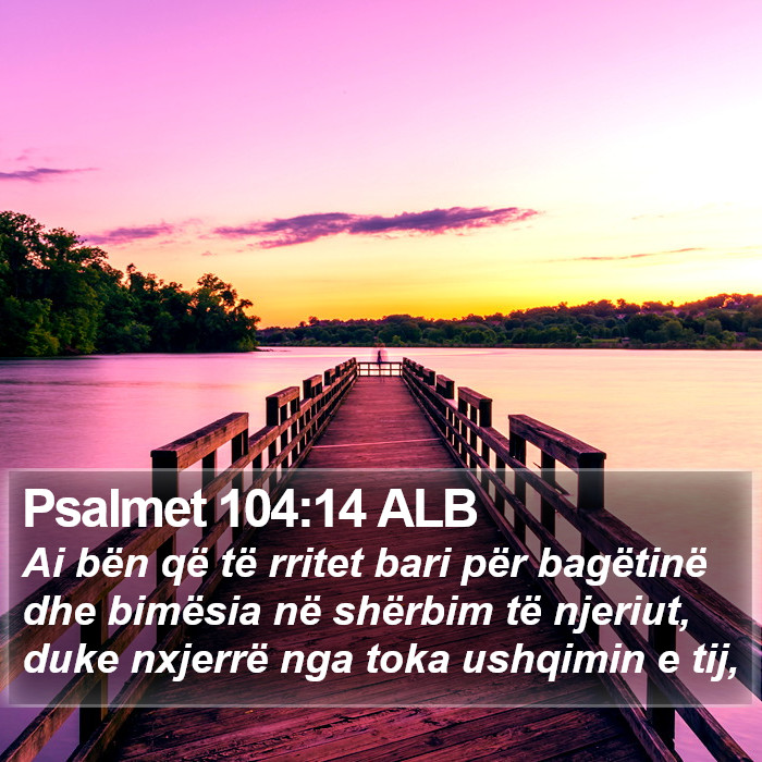 Psalmet 104:14 ALB Bible Study