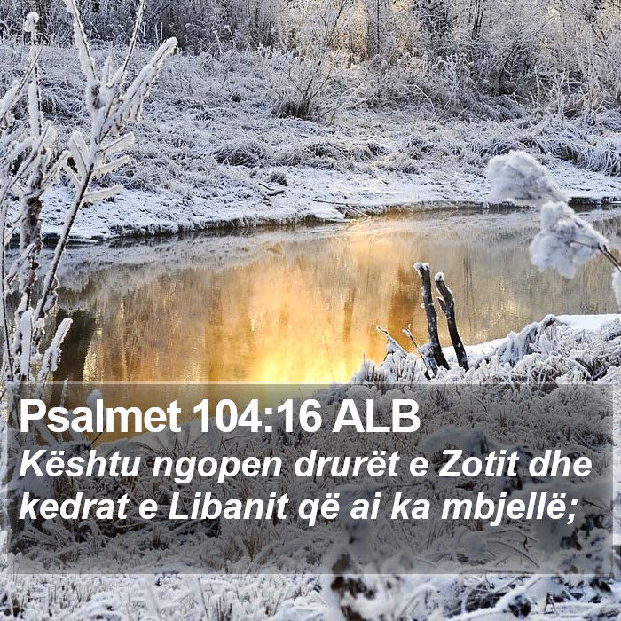 Psalmet 104:16 ALB Bible Study
