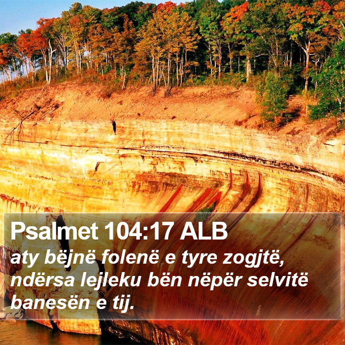 Psalmet 104:17 ALB Bible Study