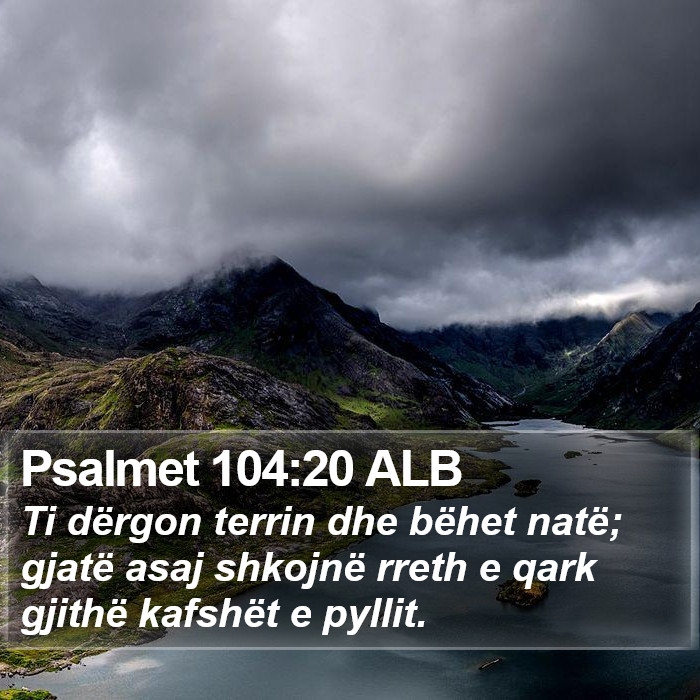 Psalmet 104:20 ALB Bible Study